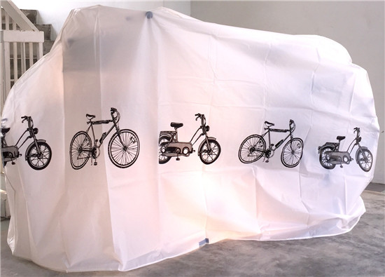 photo 19_zps8ldfaver.jpg