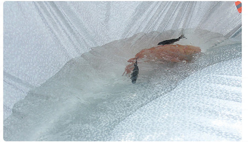 photo 19_zps8ldfaver.jpg