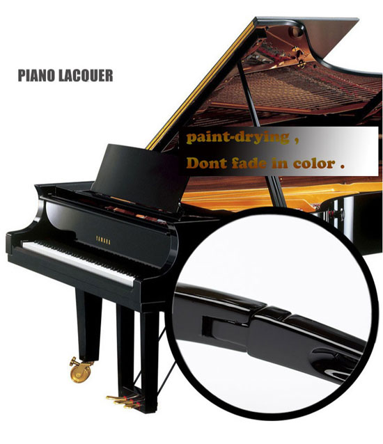  photo 19_zps8ldfaver.jpg