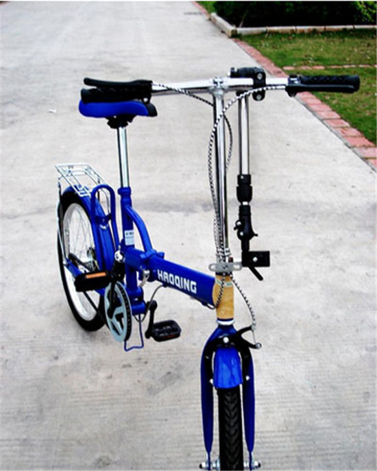 photo 19_zps8ldfaver.jpg