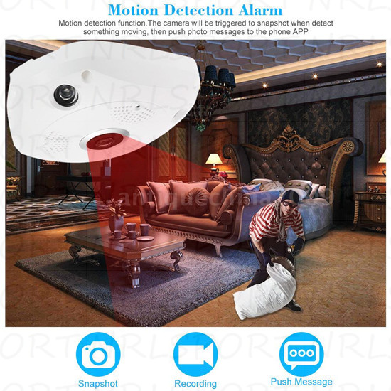  photo 19_zps8ldfaver.jpg