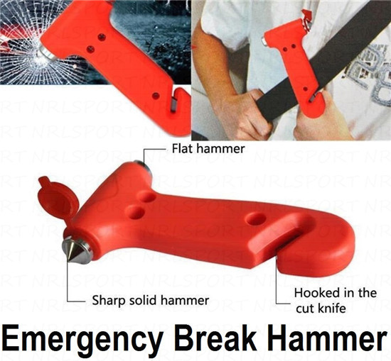 photo 19_zps8ldfaver.jpg