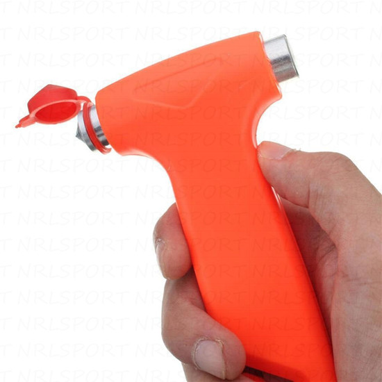 photo 19_zps8ldfaver.jpg