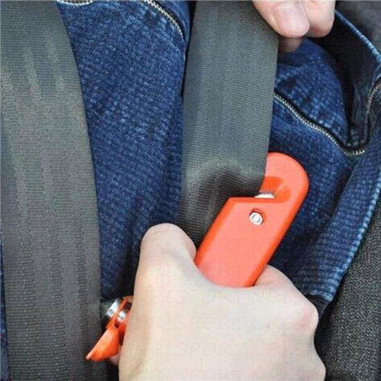 photo 19_zps8ldfaver.jpg