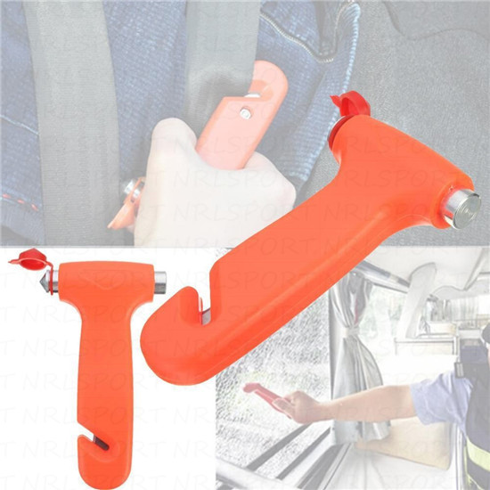 photo 19_zps8ldfaver.jpg